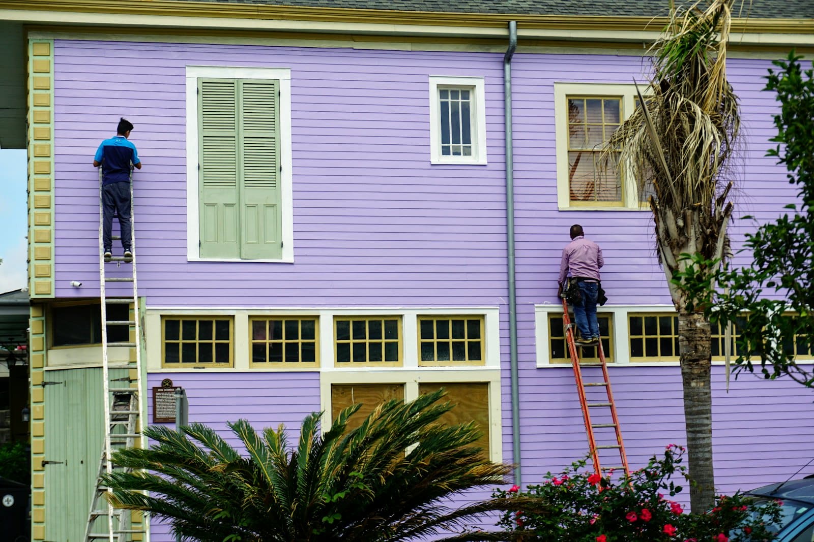 Two workers on ladders painting a purple house with cream trim and windows